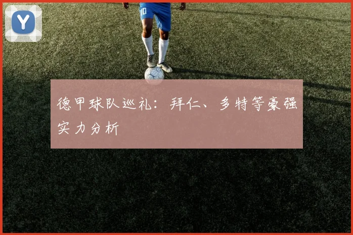 德甲球队巡礼：拜仁、多特等豪强实力分析